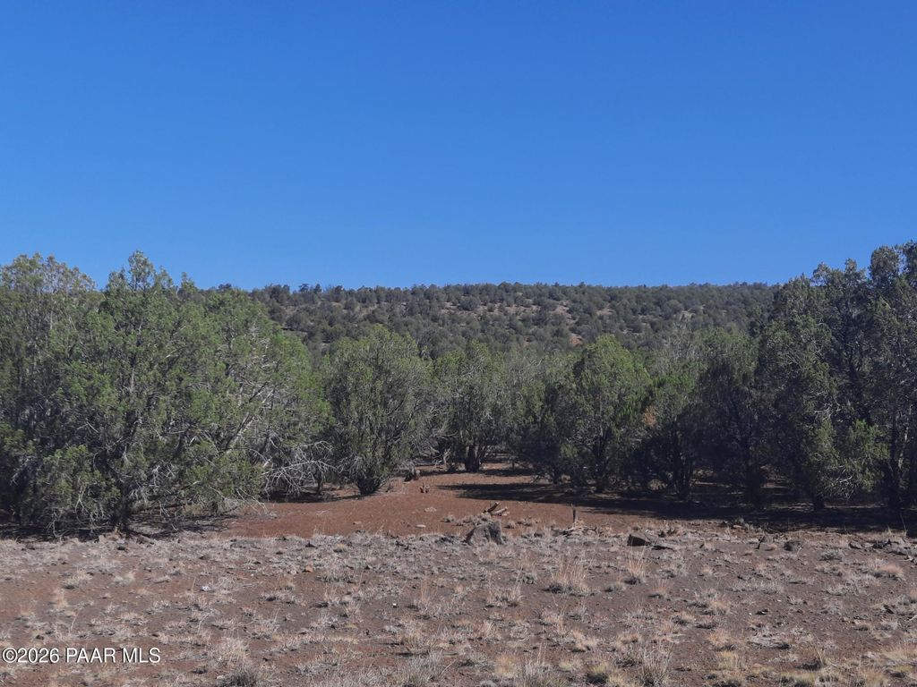 Photo of 860 Fort Rock Road, Seligman, AZ 86337 (MLS # 1082413)