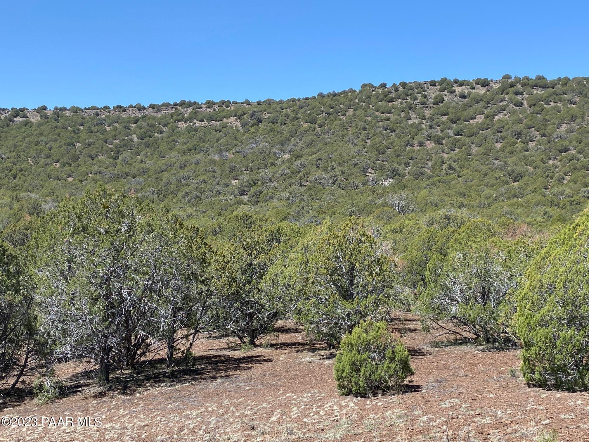 Lot 392 Westwood Ranch