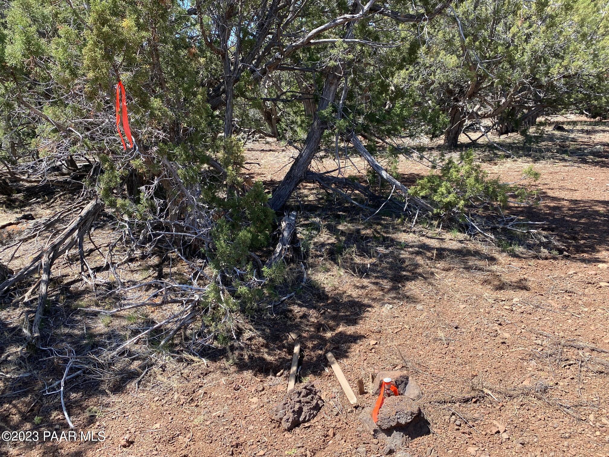 Lot 392 Westwood Ranch
