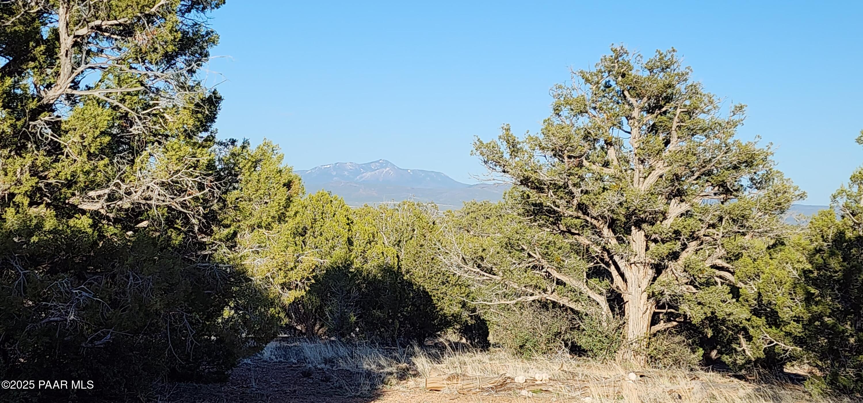 408 N2 Off Caprica Road