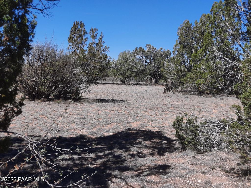 Photo of 265 N Rocky Top Road, Seligman, AZ 86337 (MLS # 1080432)