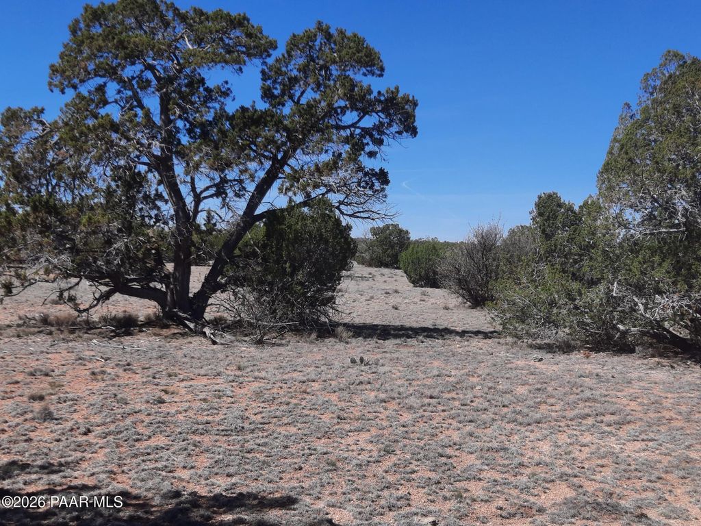 Photo of 265 N Rocky Top Road, Seligman, AZ 86337 (MLS # 1080432)