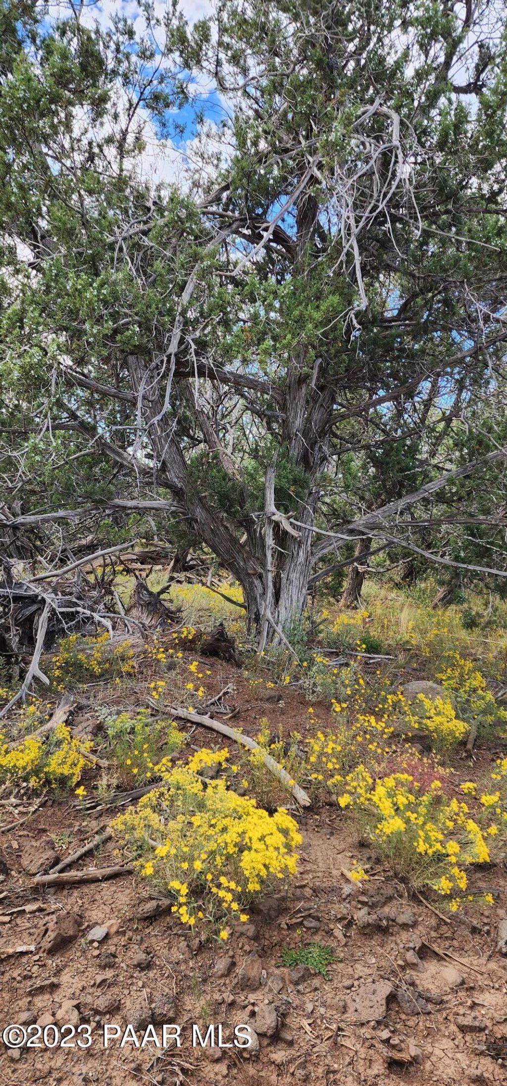 Photo of 912 Westwood Ranch, Ash Fork, AZ 86320 (MLS # 1076934)