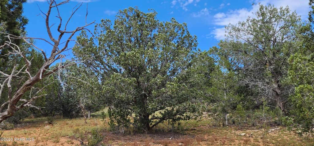 Photo of 912 Westwood Ranch, Ash Fork, AZ 86320 (MLS # 1076934)