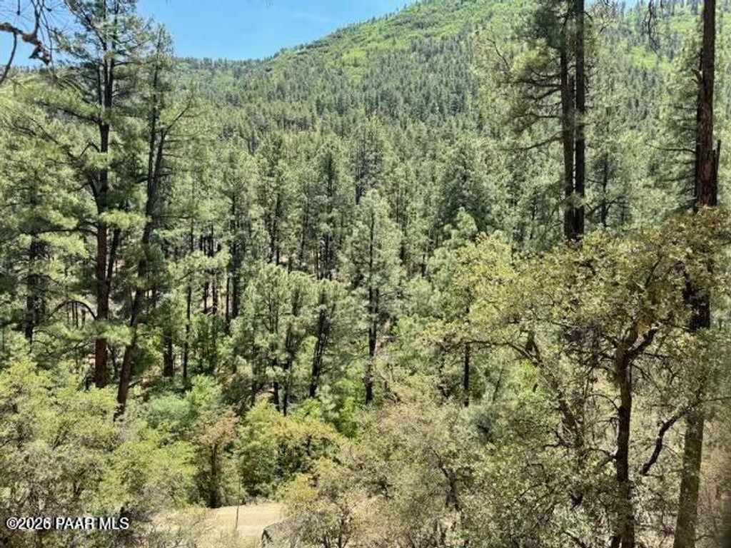Photo of 0 E Poland Road, Mayer, AZ 86333 (MLS # 1081735)