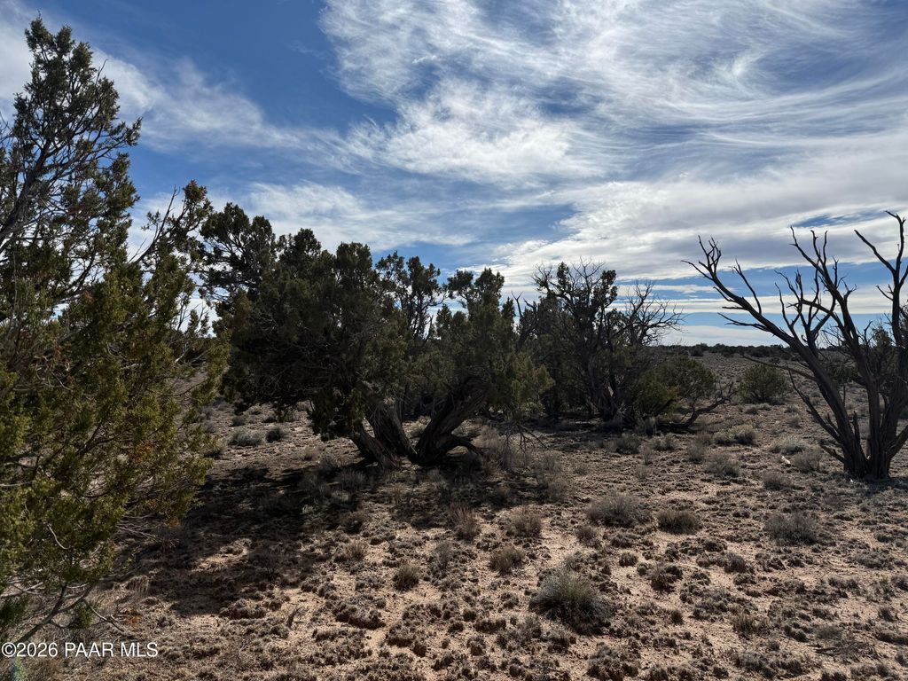 Photo of Tbd N7102, St. Johns, AZ 85936 (MLS # 1079823)