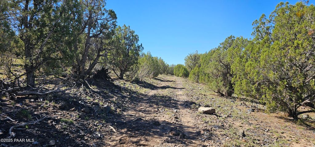 Photo of 525 Martinez, Williams, AZ 86046 (MLS # 1076744)