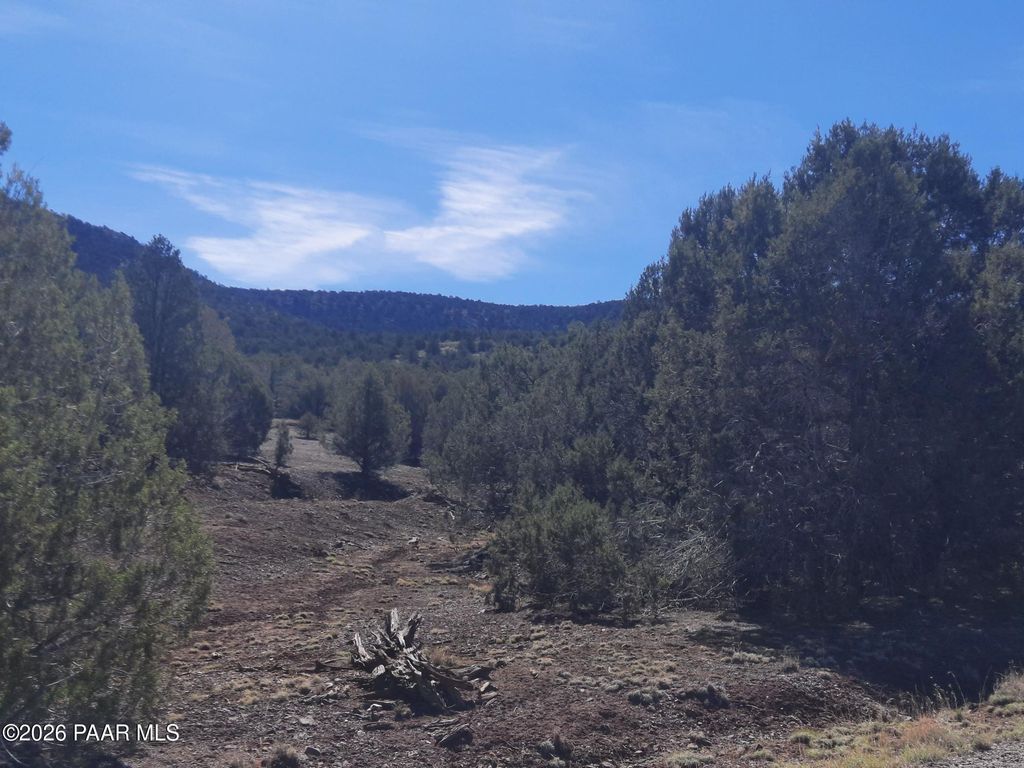 Photo of 4 Retirement Ln, Seligman, AZ 86337 (MLS # 1080916)