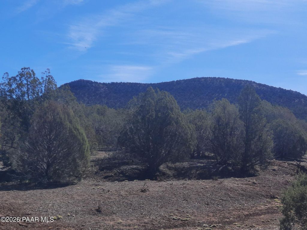 Photo of 4 Retirement Ln, Seligman, AZ 86337 (MLS # 1080916)