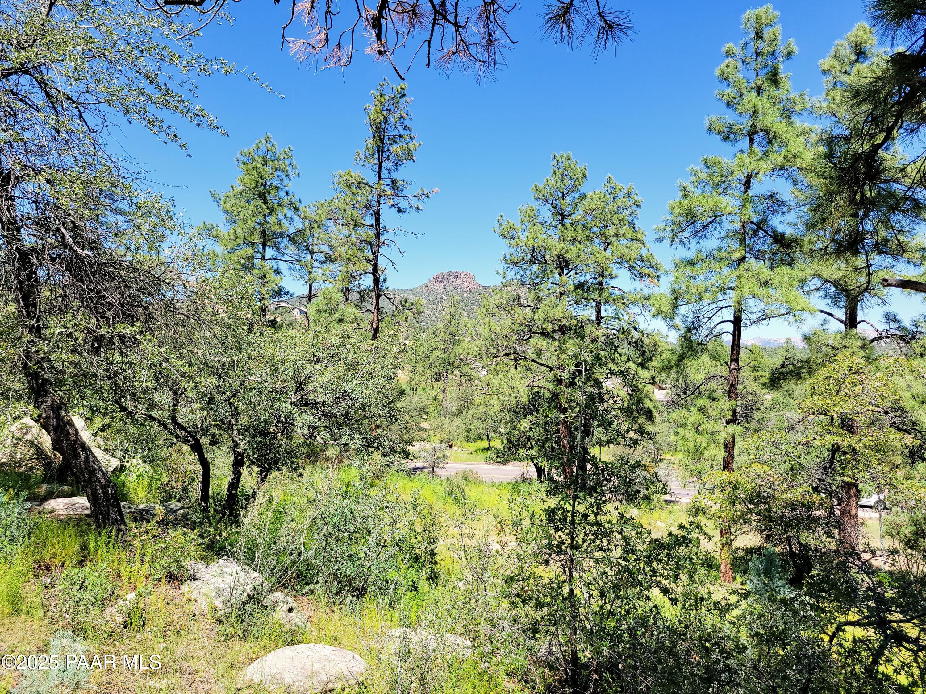 1753 Conifer Ridge Lane