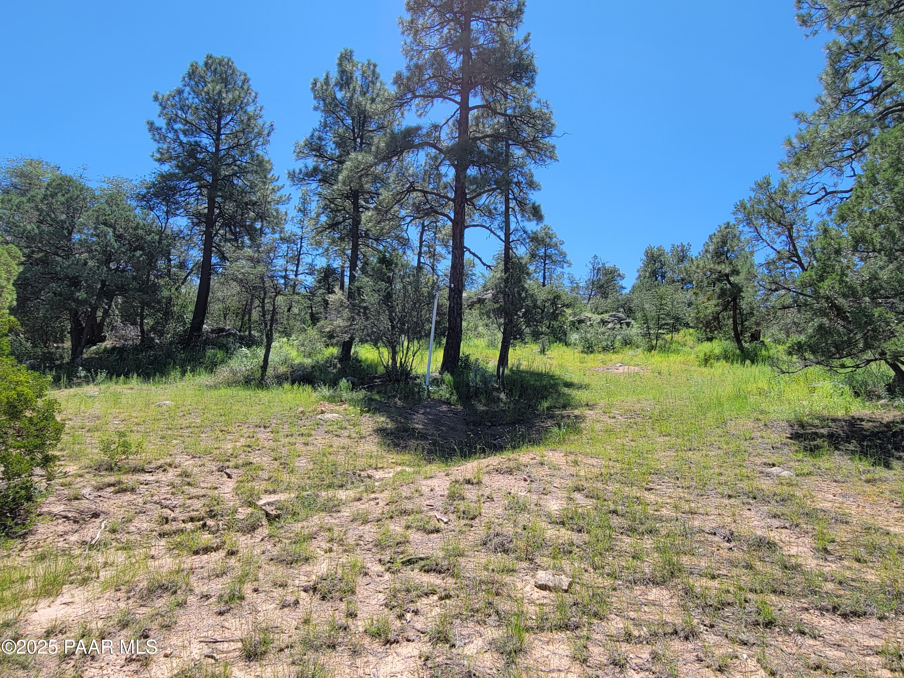1753 Conifer Ridge Lane