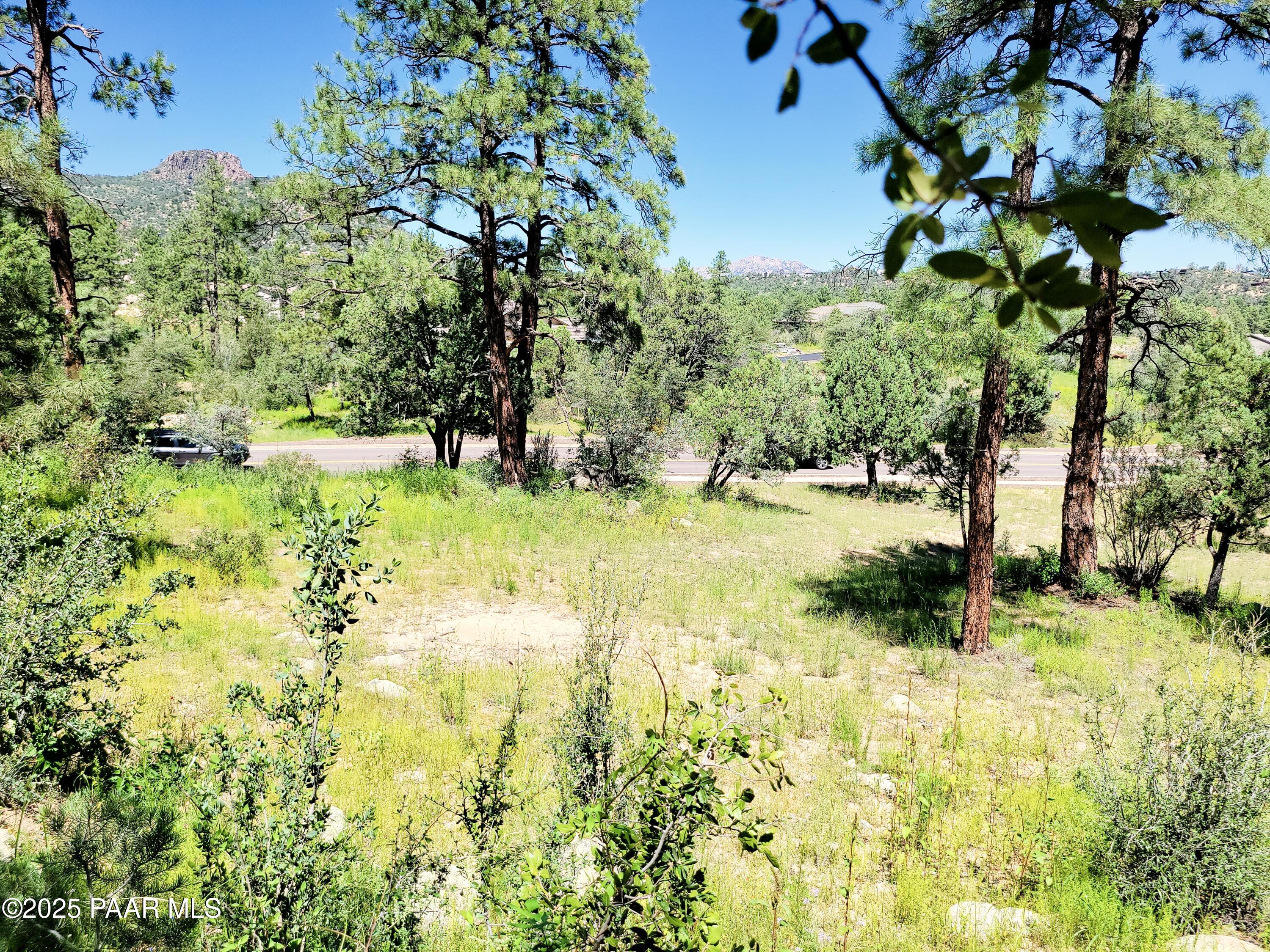 1753 Conifer Ridge Lane