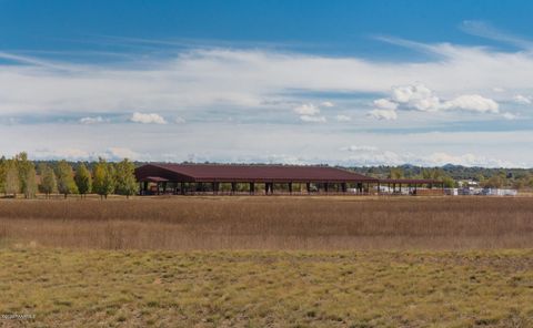 A home in Prescott