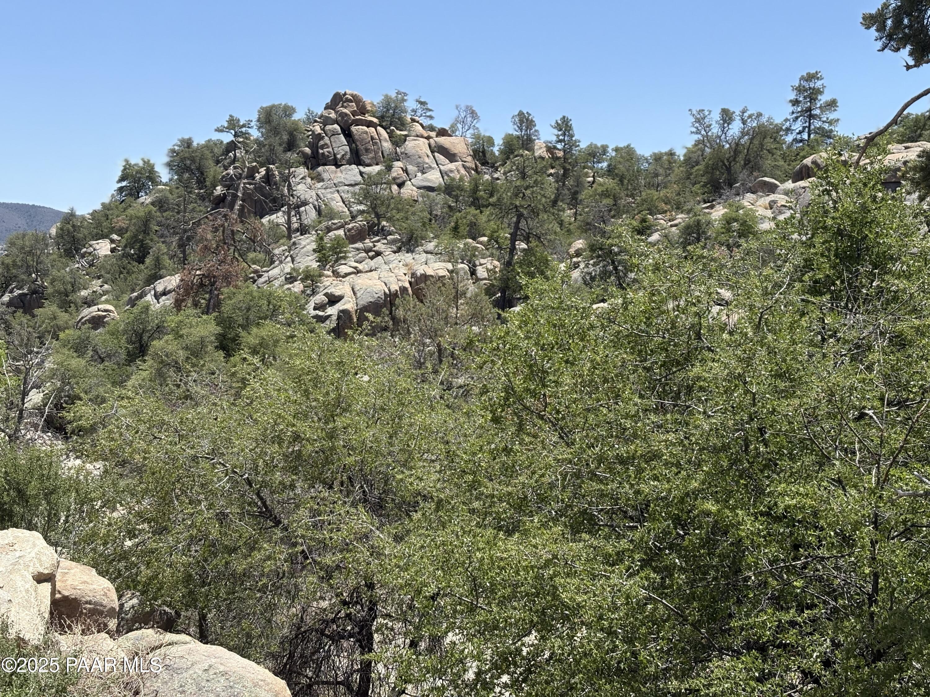 931 Downer Trail