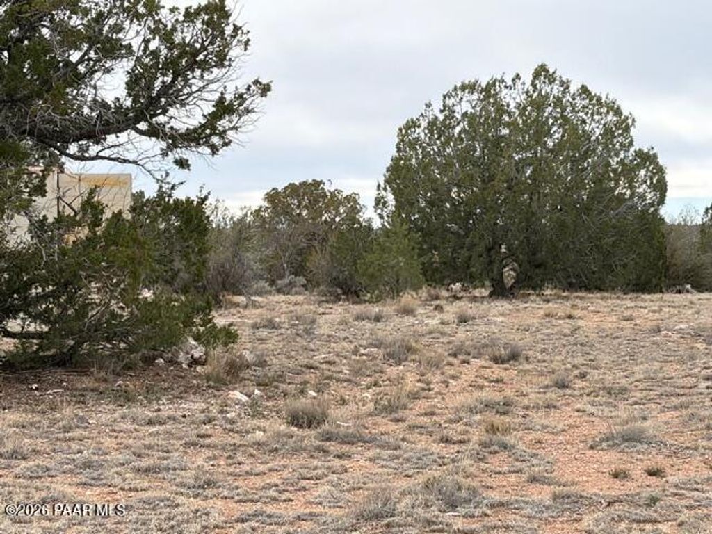 Photo of 389 Rocky Top Road, Seligman, AZ 86337 (MLS # 1079748)