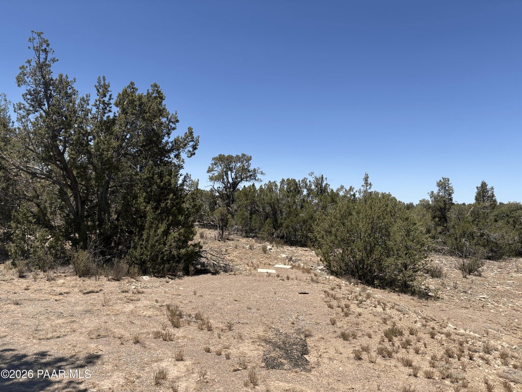Photo of 52655 N Conquistador Parkway, Seligman, AZ 86337 (MLS # 1083620)