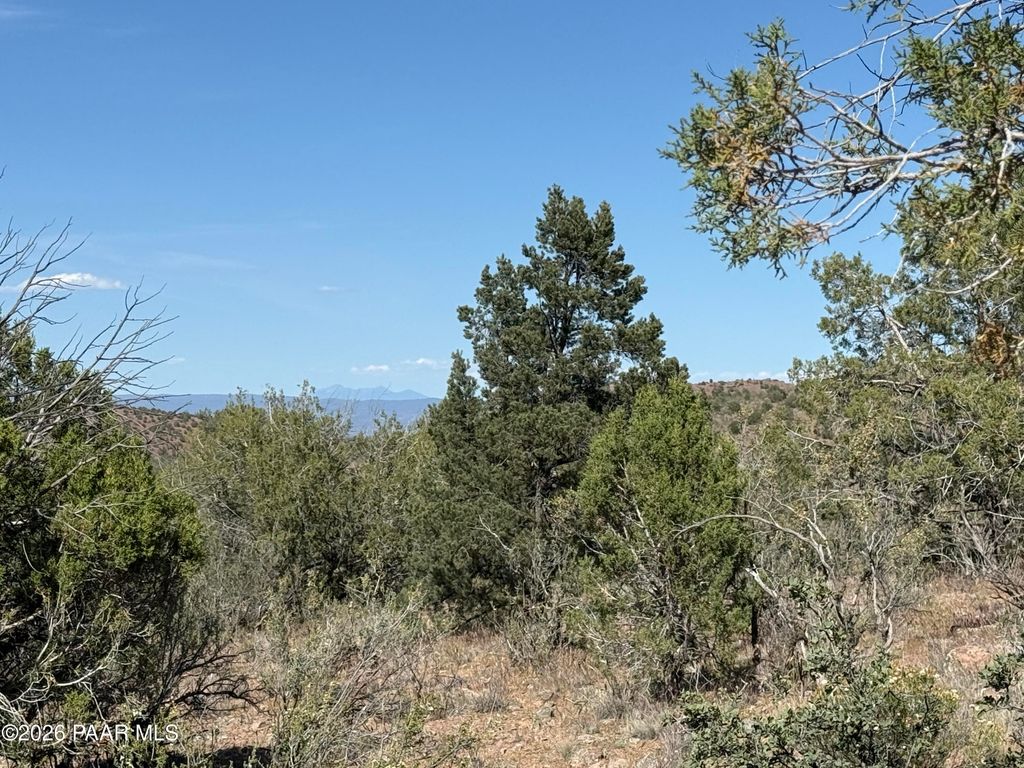 Photo of Tbd Spotted Dog Trail, Chino Valley, AZ 86323 (MLS # 1081446)