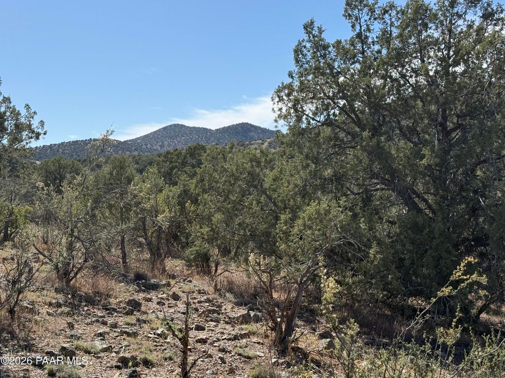 Photo of Tbd Spotted Dog Trail, Chino Valley, AZ 86323 (MLS # 1081446)
