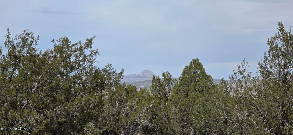 Photo of 245 Antelope Run Rd Rd, Ash Fork, AZ 86320 (MLS # 1077845)