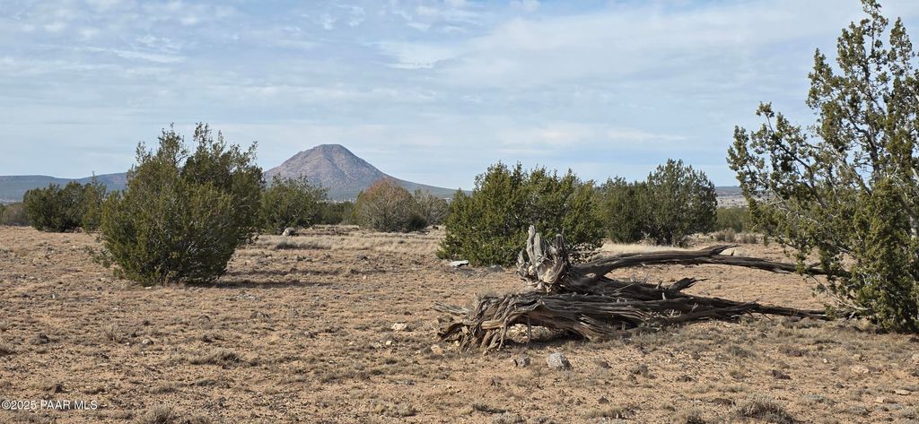 Photo of 245 Antelope Run Rd Rd, Ash Fork, AZ 86320 (MLS # 1077845)