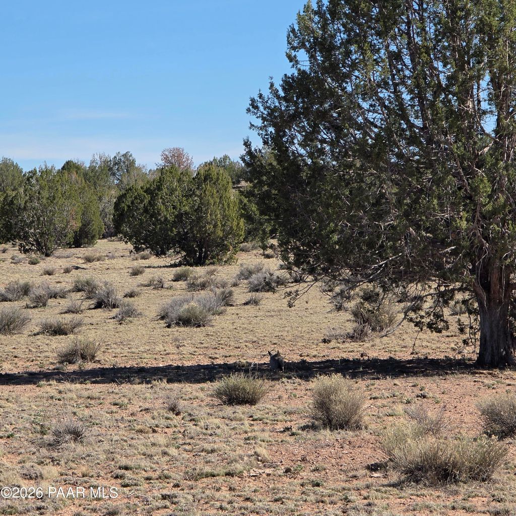 Photo of 8 Tanner, Ash Fork, AZ 86320 (MLS # 1080541)