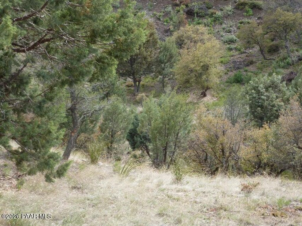 Photo of 330 Newport Drive, Prescott, AZ 86303 (MLS # 1082301)
