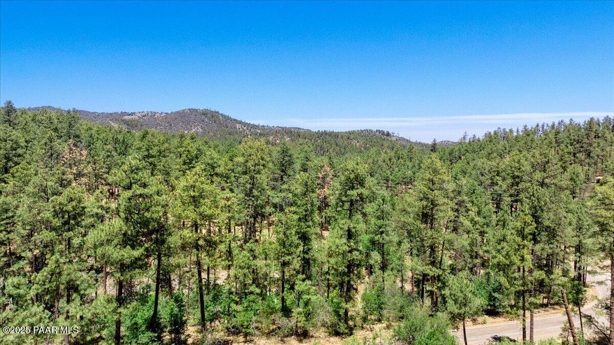3745 W Copper Basin Road