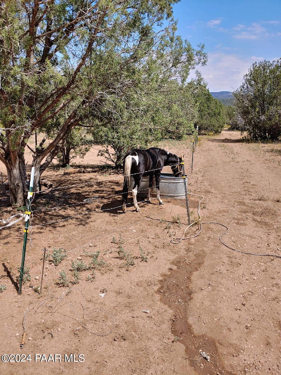 40670 W Scout Trail