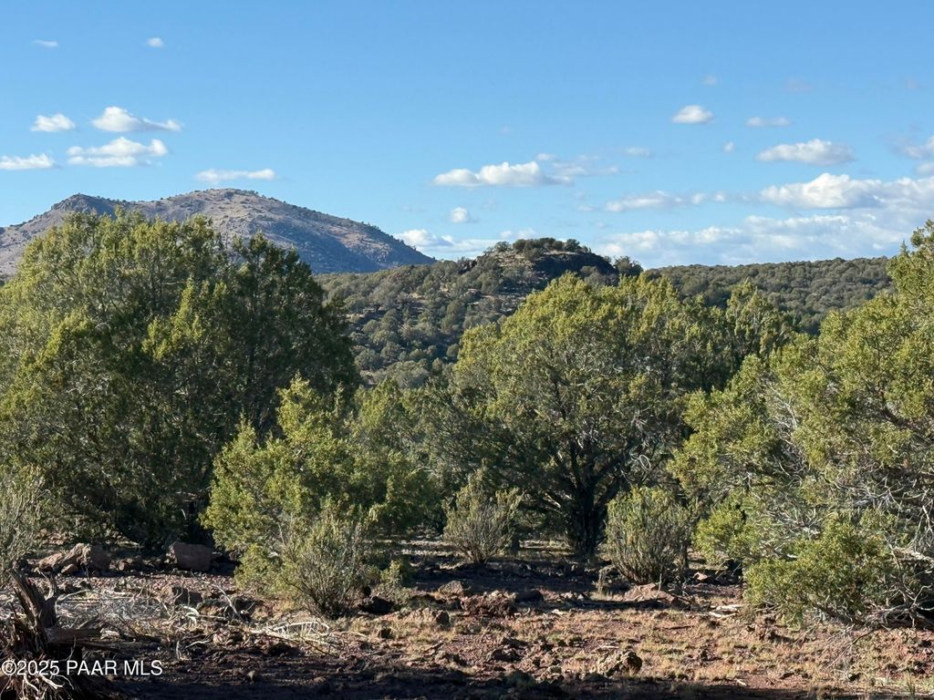 Photo of 17375 Beale Wagon Road, Williams, AZ 86046 (MLS # 1077423)