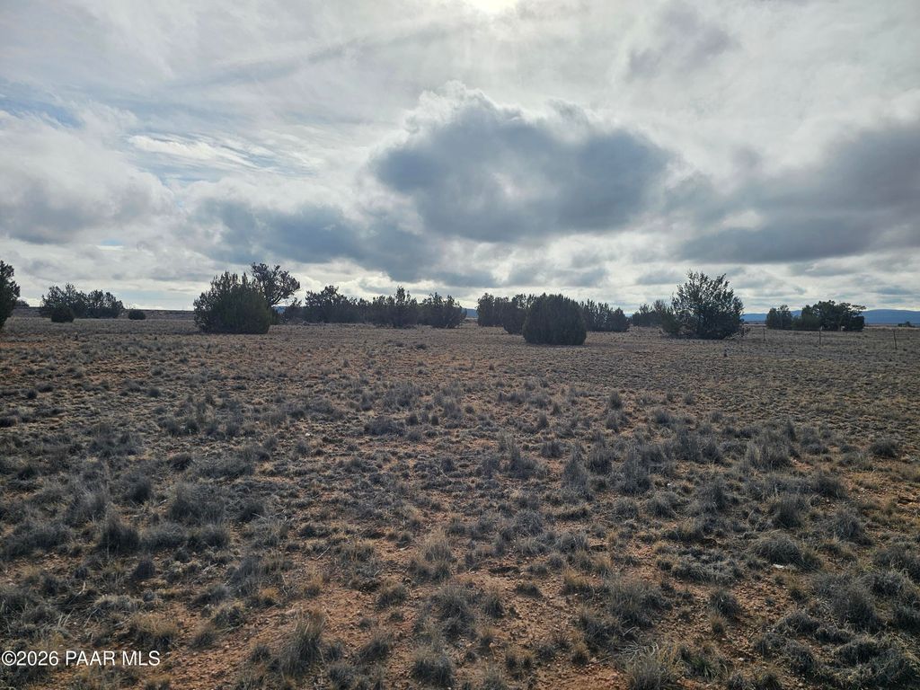 Photo of 27565 W Fort Rock Road, Seligman, AZ 86337 (MLS # 1078745)