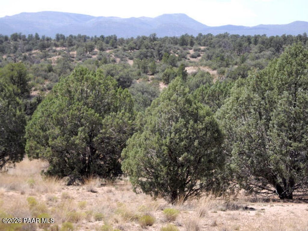 Photo of 00 W Slate Road, Prescott, AZ 86305 (MLS # 1078819)