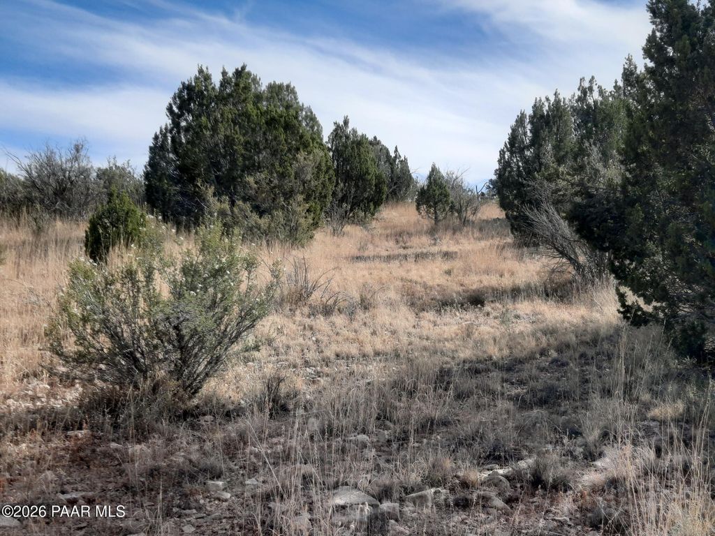 Photo of 32563 W Ancho Road, Seligman, AZ 86337 (MLS # 1078762)