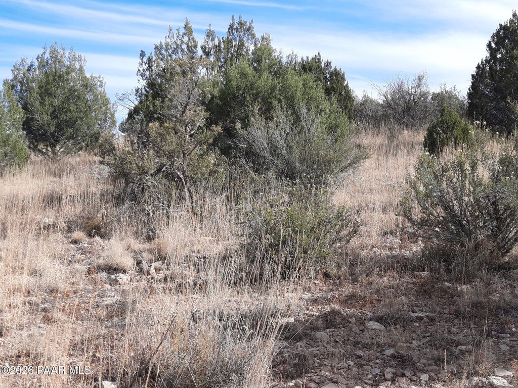 Photo of 32563 W Ancho Road, Seligman, AZ 86337 (MLS # 1078762)