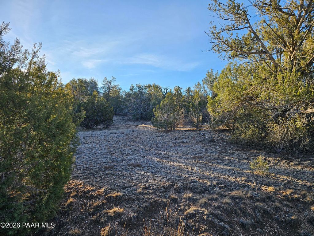 Photo of 32397 W Camino Oso, Seligman, AZ 86337 (MLS # 1078941)