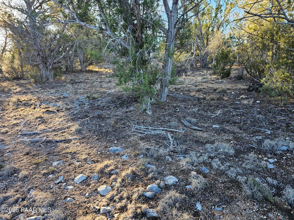 Photo of 32397 W Camino Oso, Seligman, AZ 86337 (MLS # 1078941)