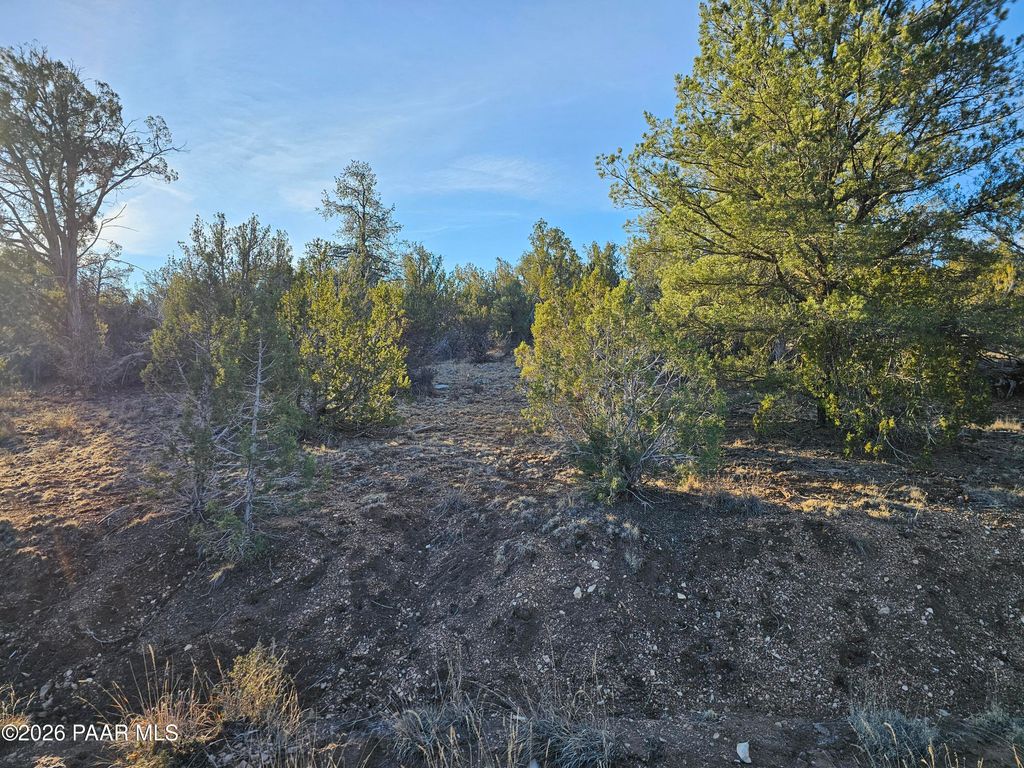 Photo of 32397 W Camino Oso, Seligman, AZ 86337 (MLS # 1078941)