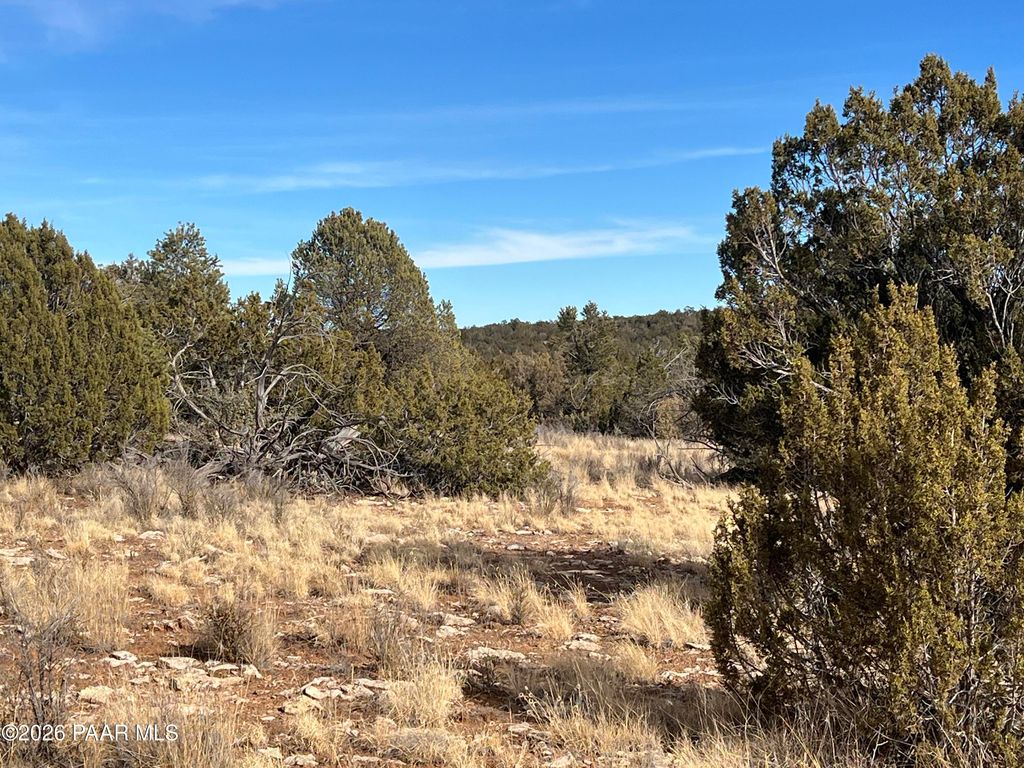 Photo of 000 N Rolling Hills Lane, Seligman, AZ 86337 (MLS # 1082321)