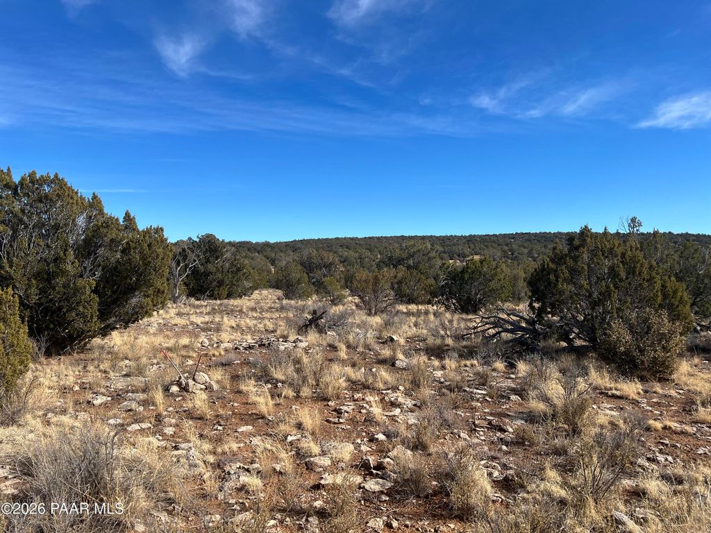 Photo of 000 N Rolling Hills Lane, Seligman, AZ 86337 (MLS # 1082321)