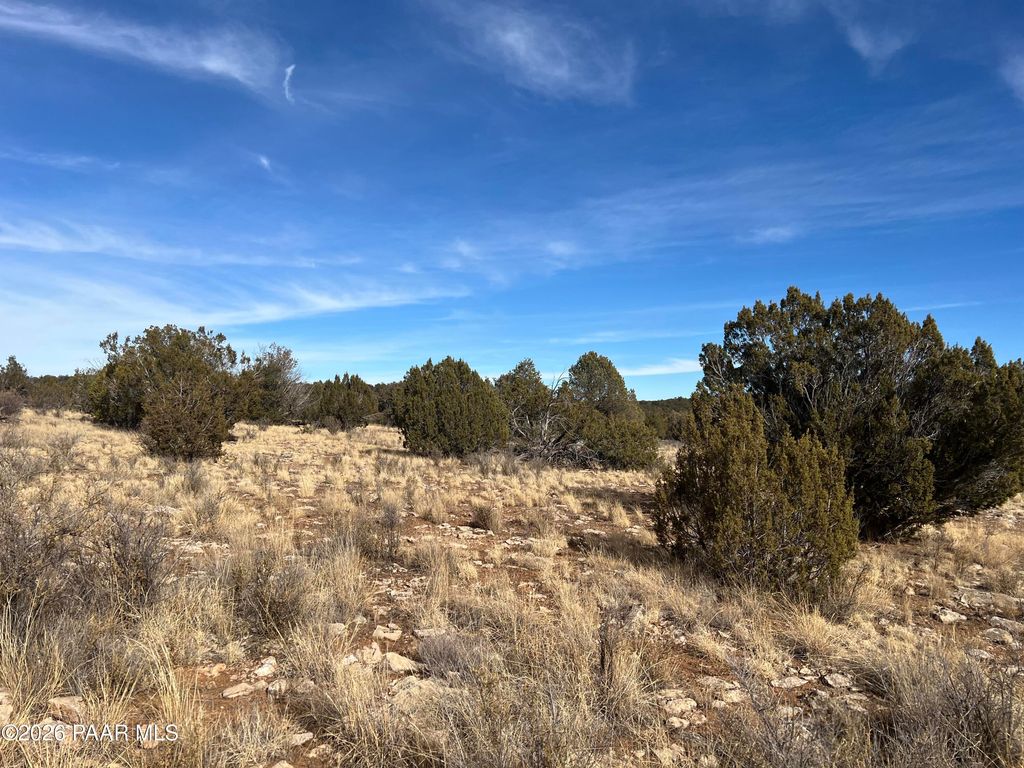 Photo of 000 N Rolling Hills Lane, Seligman, AZ 86337 (MLS # 1082321)