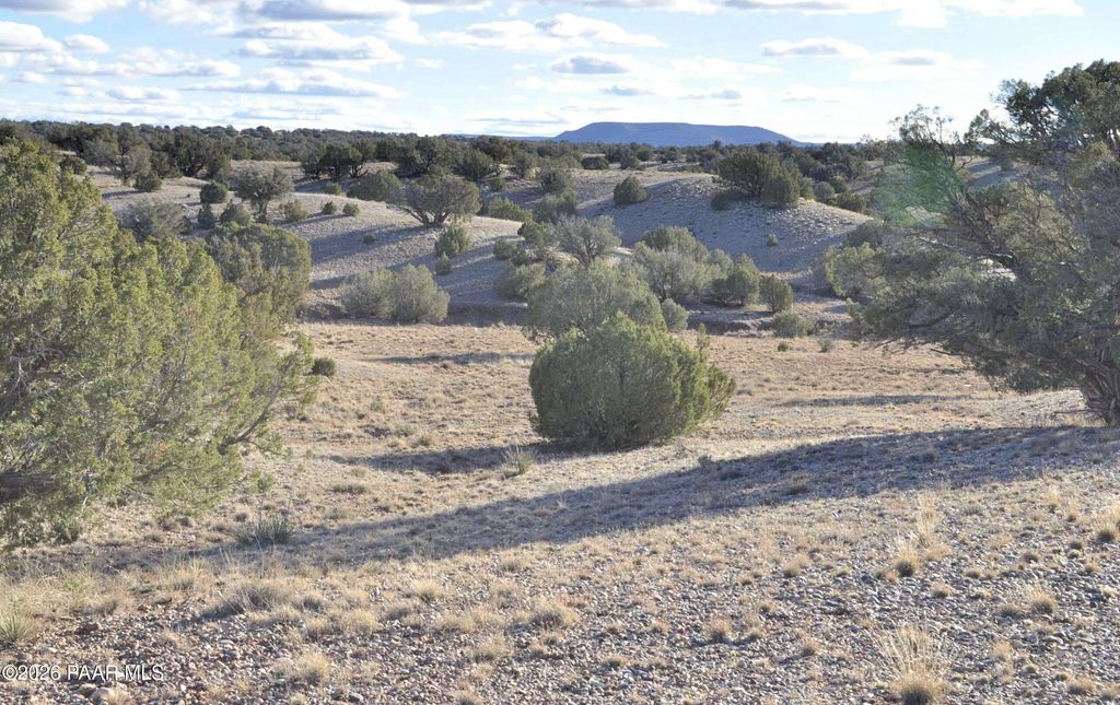 Photo of 690691 691 Cr 5270 (Old Hunt Rd) RWM, Concho, AZ 85924 (MLS # 1078532)