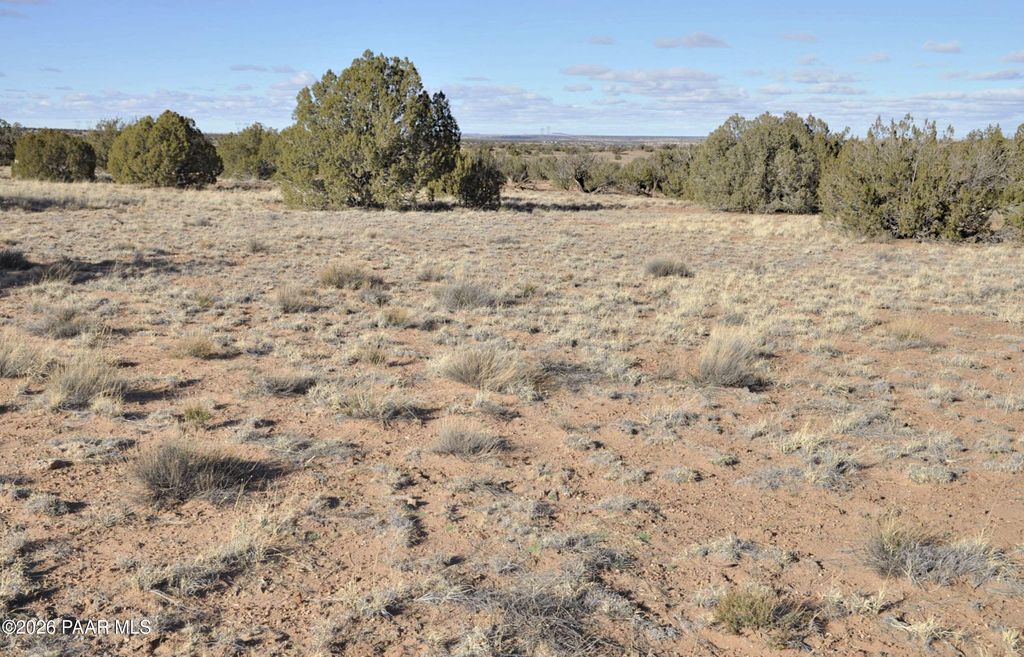 Photo of 690691 691 Cr 5270 (Old Hunt Rd) RWM, Concho, AZ 85924 (MLS # 1078532)