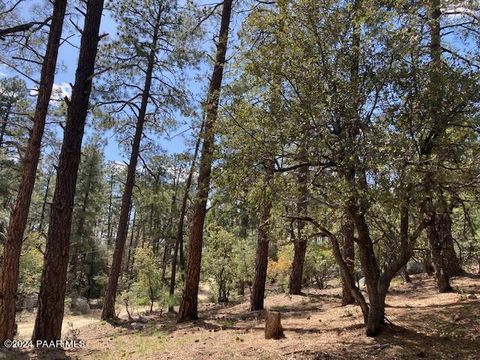 Photo of 20 Vulture Bend Drive, Prescott, AZ 86305 (MLS # 1079021)