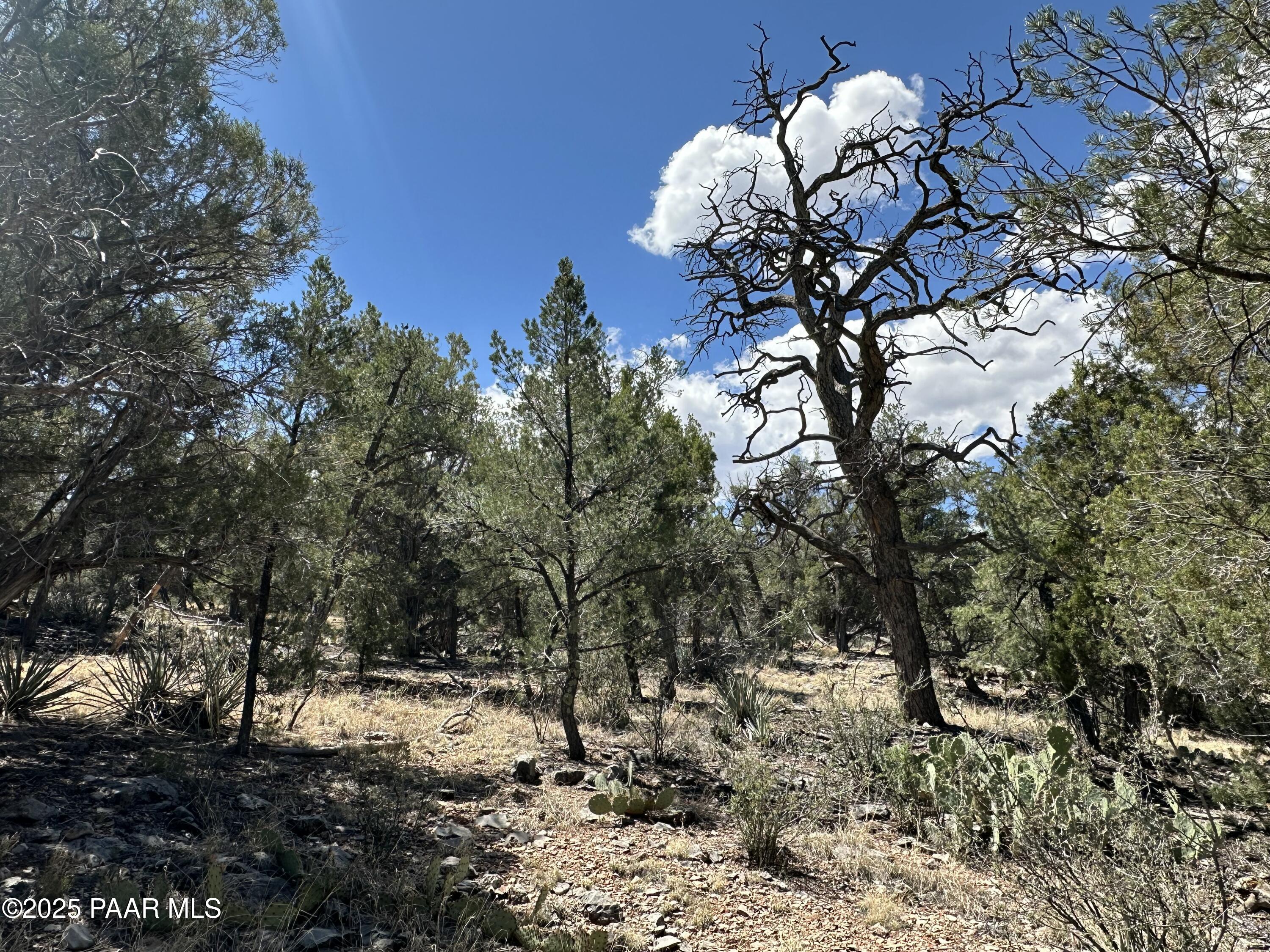 1035c W Whiskey River Road