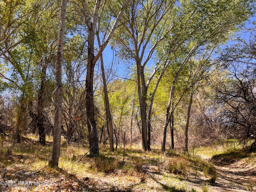 Photo of 2900 Old Skull Valley Road, Skull Valley, AZ 86338 (MLS # 1082184)