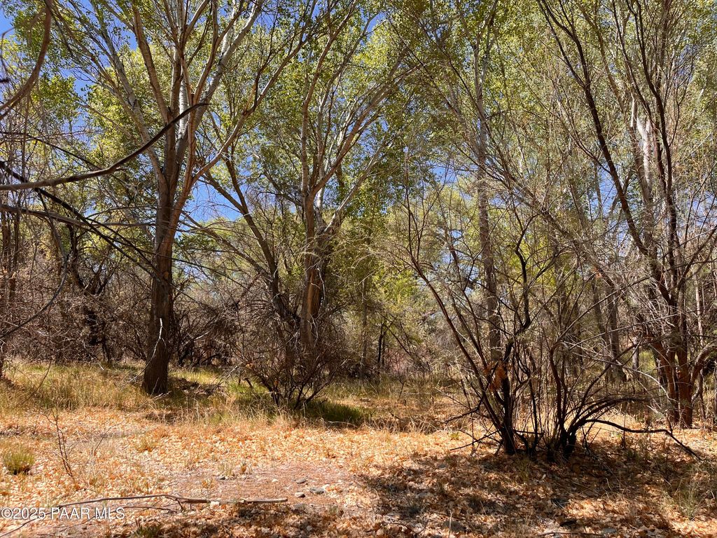 Photo of 2900 Old Skull Valley Road, Skull Valley, AZ 86338 (MLS # 1082184)
