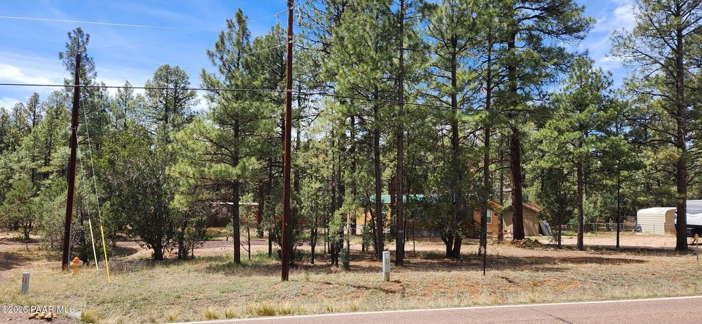Photo of 2890 Pine Rim Road, Heber, AZ 85933 (MLS # 1081478)