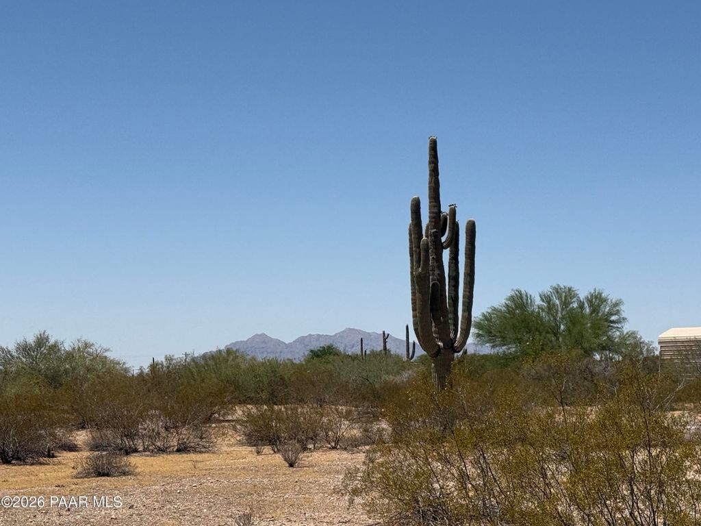 Photo of 4 S Cactus Garden Way, Marana, AZ 85653 (MLS # 1081922)