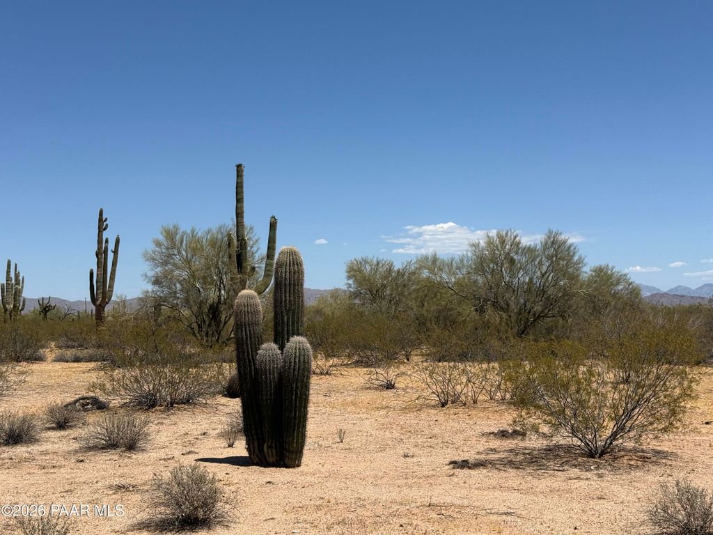 Photo of 4 S Cactus Garden Way, Marana, AZ 85653 (MLS # 1081922)