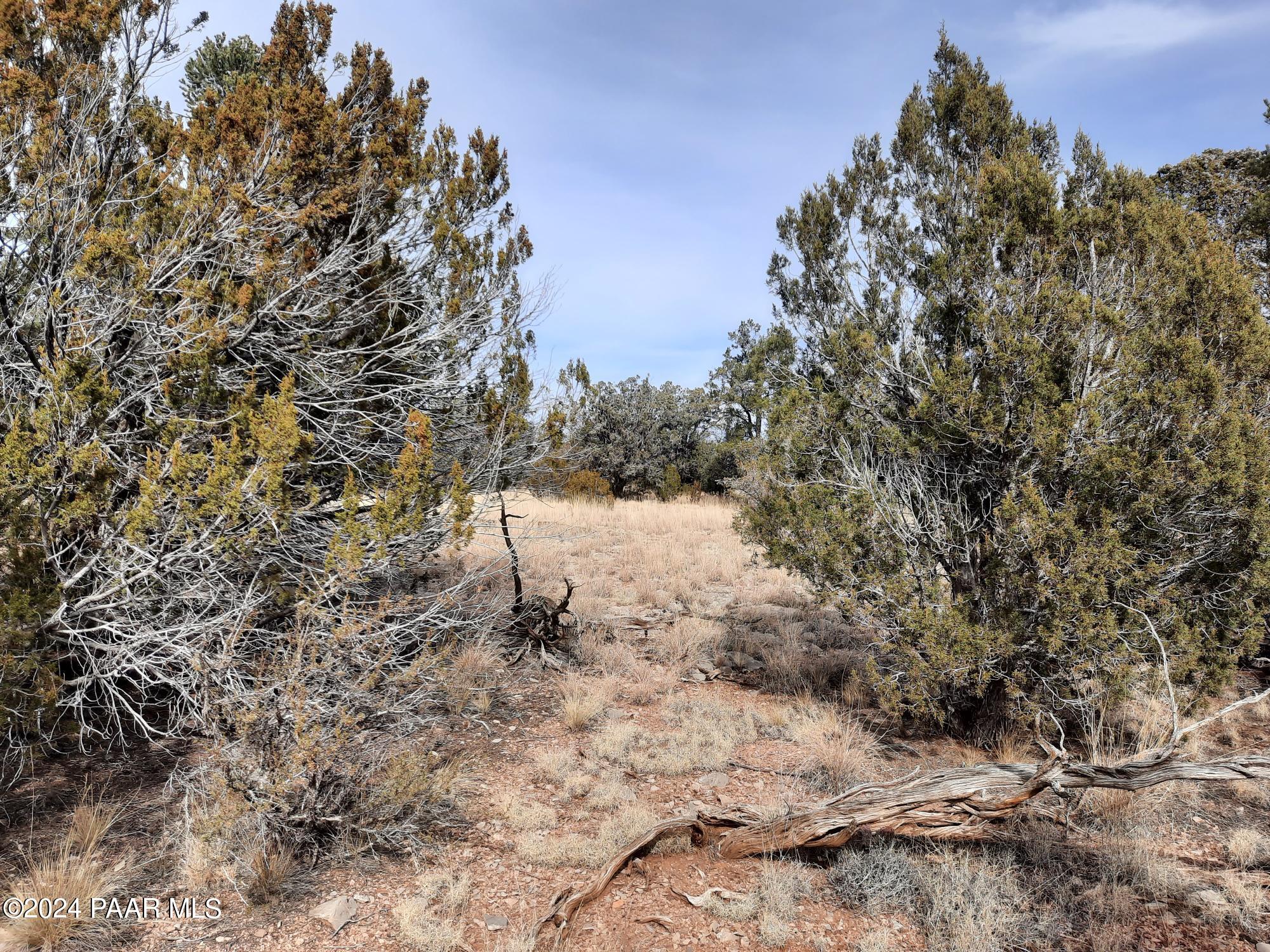54353 N Shadow Mountain Parkway
