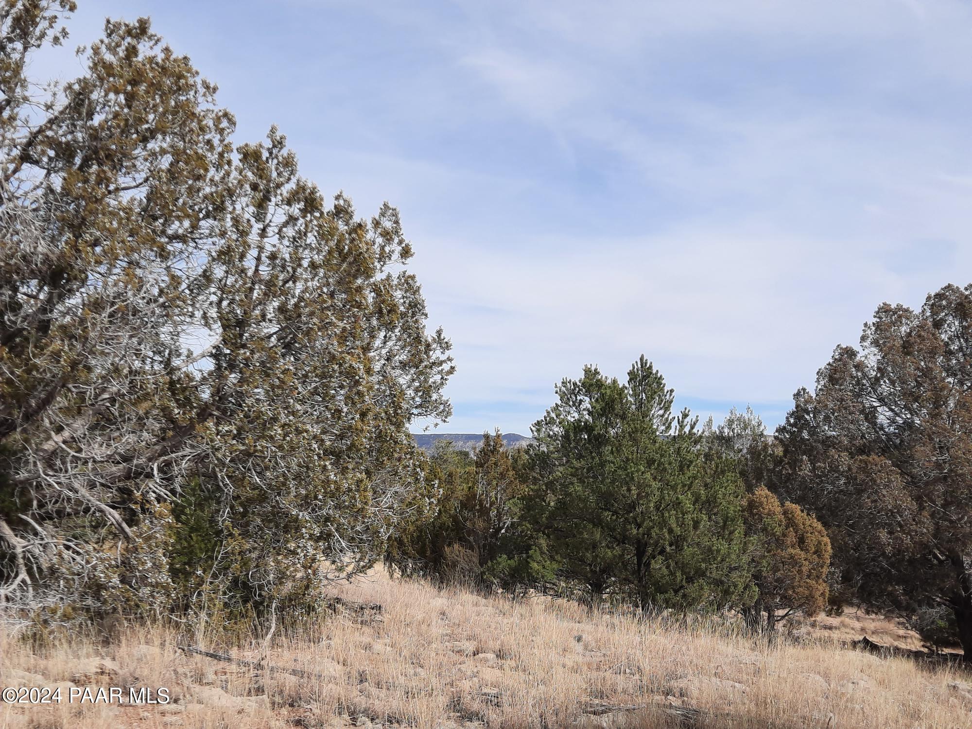 54353 N Shadow Mountain Parkway